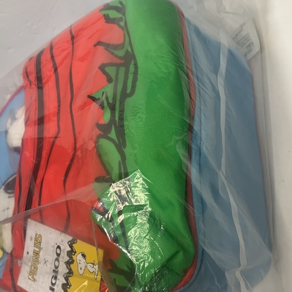 Peanuts Snoopy Insulated Backpack Igloo Mini Conv… - image 8